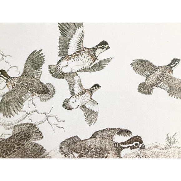 GENE MURRAY, “Quails” Lithograph Signed 22”X18” Print, 1977 305/700 - Picture 3 of 7